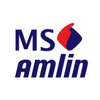 MS Amlin